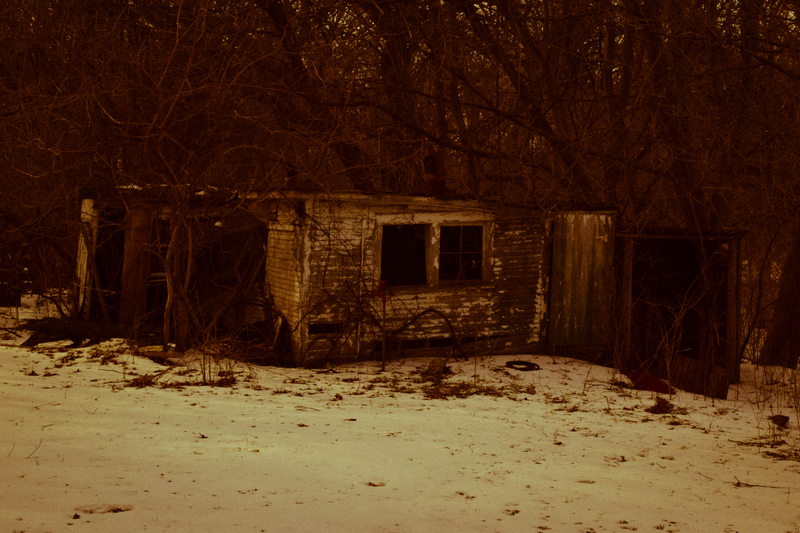 Illustration for article titled Recent Outing (Photo Heavy)